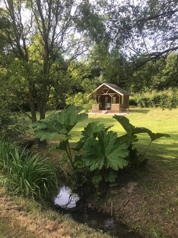 La Paix, Gite Bucolique En Normandie Conde-sur-Noireau Екстер'єр фото