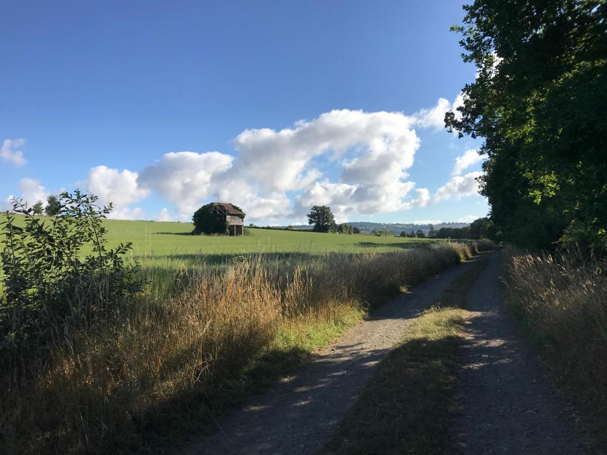 La Paix, Gite Bucolique En Normandie Conde-sur-Noireau Екстер'єр фото