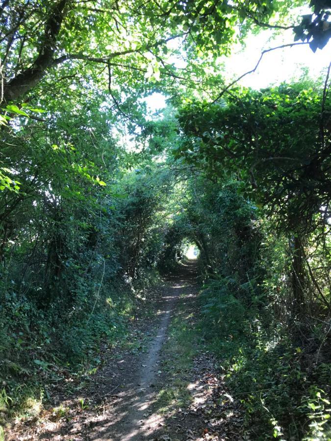 La Paix, Gite Bucolique En Normandie Conde-sur-Noireau Екстер'єр фото